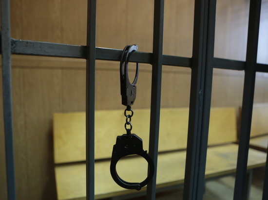 В Москве вынесли приговор сирийцу, похитившему сотрудницу полиции В Москве вынесли приговор сирийцу, похитившему сотрудницу полиции